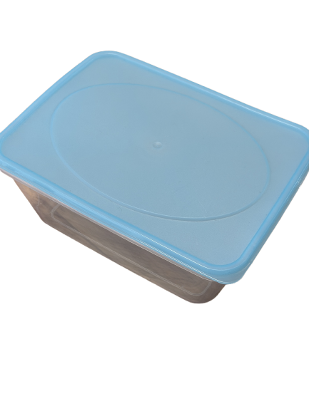 Food Storage Container